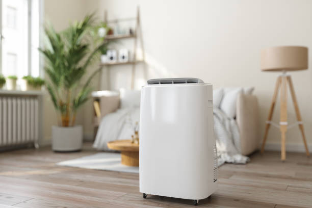 Best HVAC Companies Near Me  in Randleman, NC